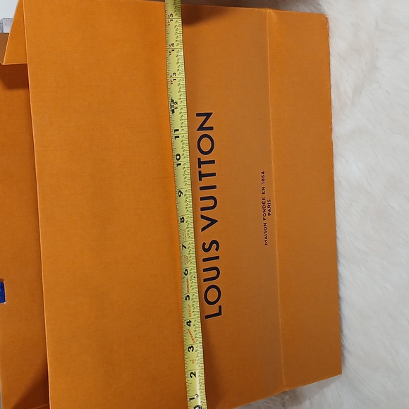 Louis Vuitton Orange Bag and Box Unisex - Picture 6 of 15